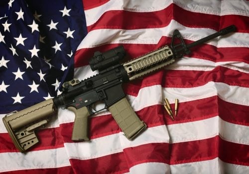 AR-15 vs America